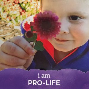 Meet your Posher, Kathy denman